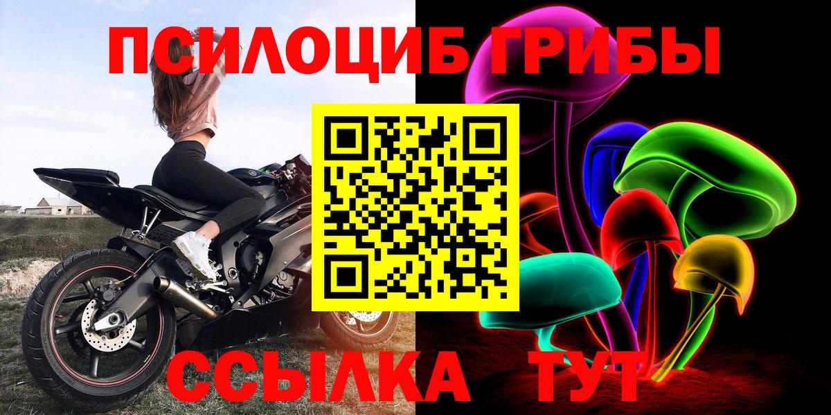 Галлюциногенные грибы прущие грибы Тавда