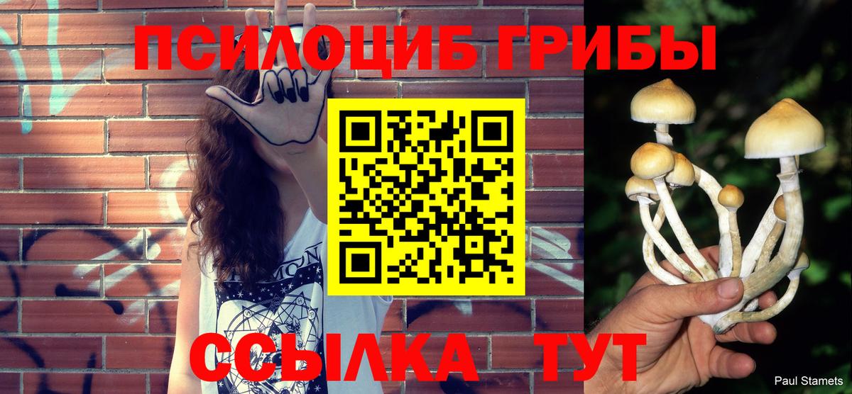 Тавда  купить наркотик  Вход с VPN  Псилоцибиновые грибы прущие грибы 