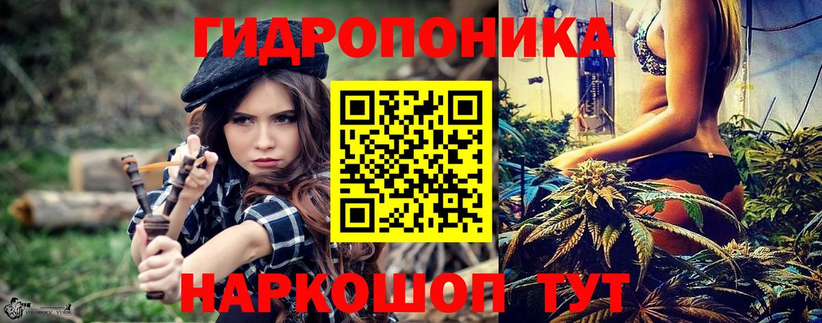 Канабис OG Kush Тавда